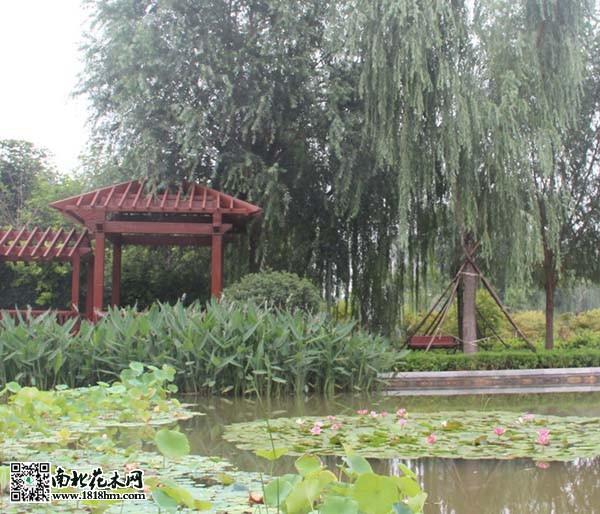 公園