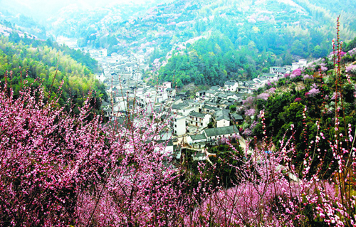 花卉產(chǎn)業(yè)