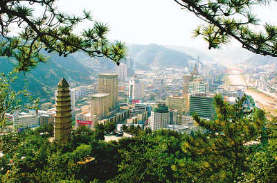 延安花卉市場