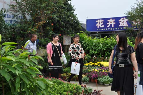 河北：涿州市建設(shè)花卉苗木示范區(qū)7000畝