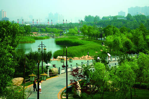 曲江國家森林城市創(chuàng)建
