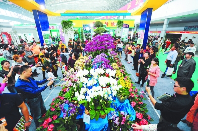 合肥苗交會(huì)