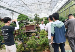江蘇省廣播電視總臺走進(jìn)沭陽國際花木城取景