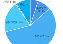 2022年中國盆栽植物行業(yè)發(fā)展現(xiàn)狀及市場規(guī)模分析