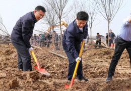 沭陽開展2023年義務(wù)植樹活動